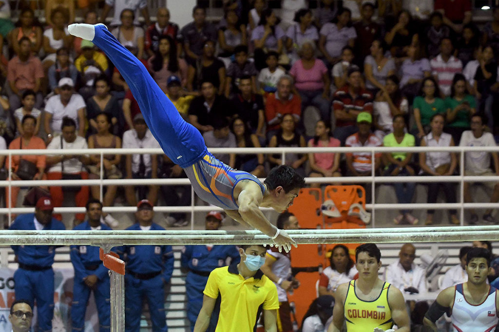 Gimnasia artística. 